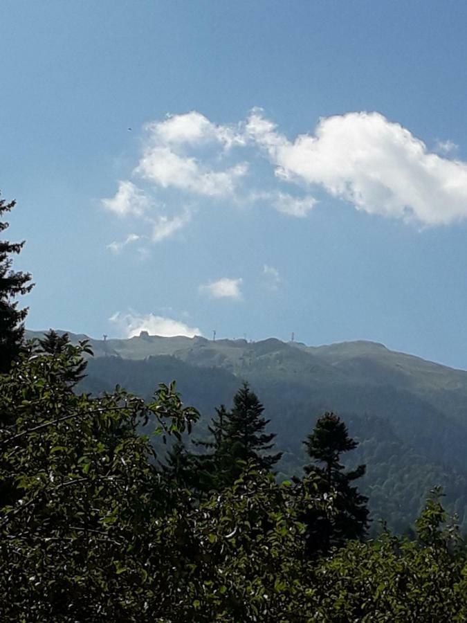 Hotel Lanobila Sinaia Exteriér fotografie